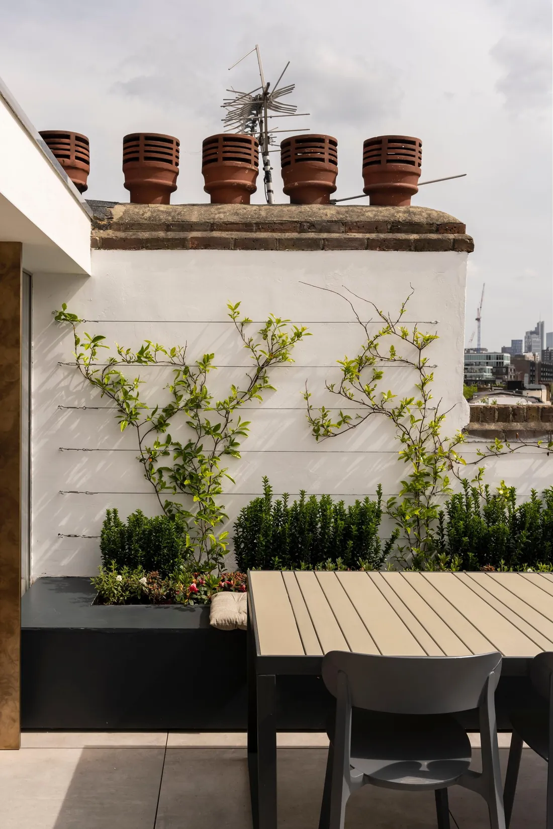 Built-in planters and climbing plants on wires along a white terrace wall, below chimney pots